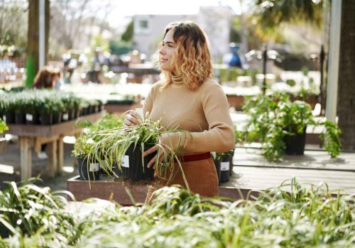 Important Tax Considerations for Small Businesses: Expert Tips on How to Start a Small Business